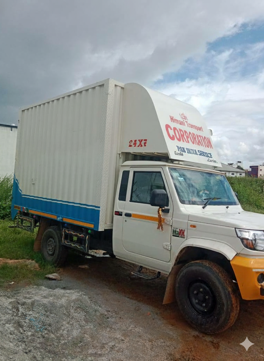 Professional Packers and Movers Service